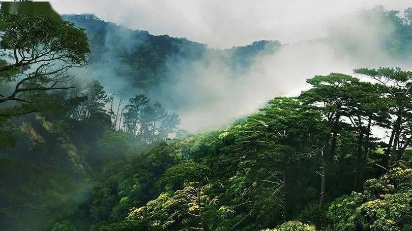 地球防卫军4.1