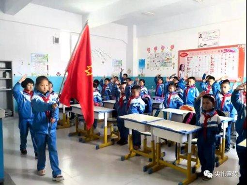 可爱小猫向上跳